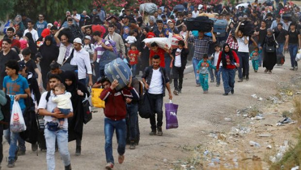Yaponiya, Almaniya və Fransanın ümidi MİQRANTLARA QALIB – QORXUNC STATİSTİKA – FOTO 