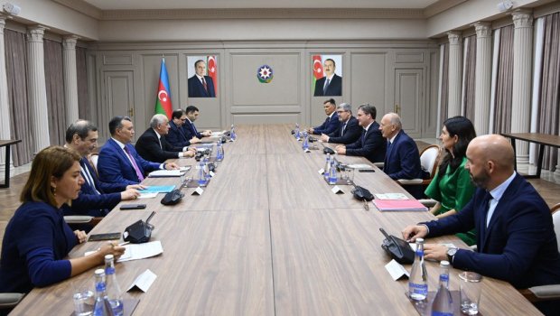 Baş nazir Serbiyanın mədəniyyət nazirini QƏBUL ETDİ