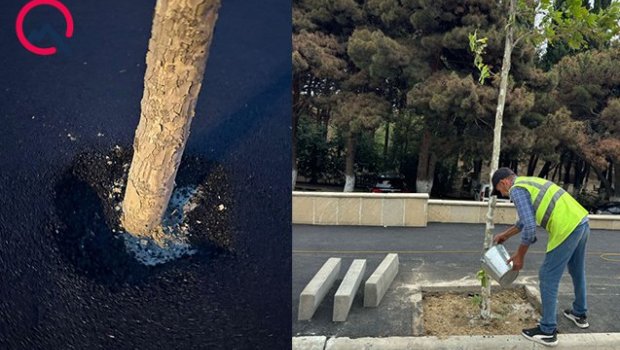 Bakıda bu küçədəki vəziyyət müzakirə yaratdı – FOTO