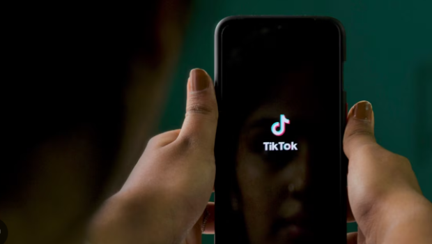 &ldquo;Tiktok&rdquo;da özünü bank işçisi kimi təqdim edib, 1600 manatlıq dələduzluq etdi &ndash; FOTO