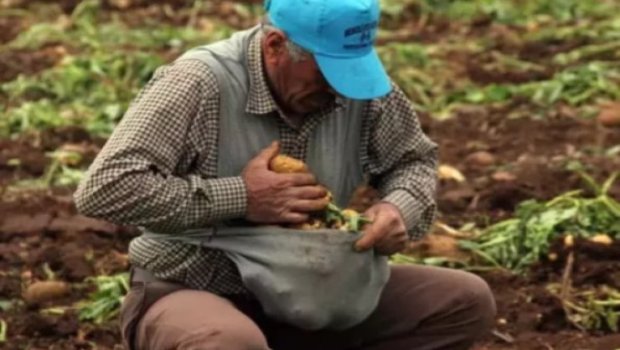 Tovuzda kişi kartof yığarkən dünyasını dəyişdi