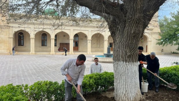 &ldquo;Yaşıl gələcək naminə&rdquo; aksiyası Sumqayıtda və Abşeronda davam etdirildi - FOTO