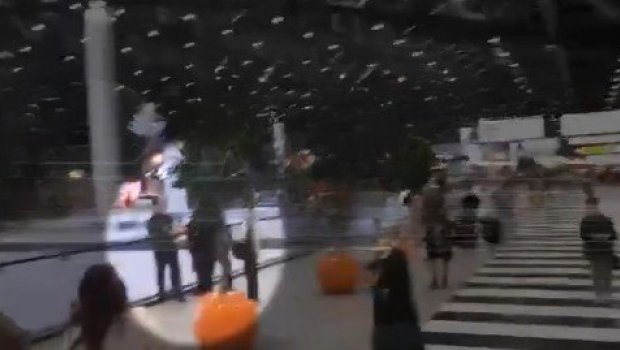 Moskva hava limanında DƏHŞƏT: Gənc kişi boğazını kəsərək... - VİDEO