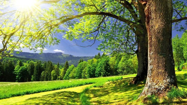 Sabah 38 dərəcə isti olacaq &ndash; PROQNOZ 