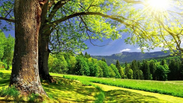 Sabah 38 dərəcə isti olacaq &ndash; PROQNOZ