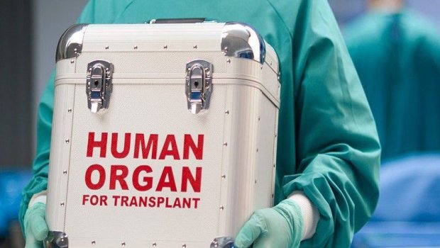 600-ə yaxın şəxs donor gözləyir - RƏSMİ