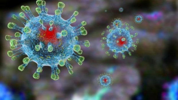 Ermənistanı qorxuya salan virus ölkəmizə də gələ bilər? &ndash; RƏSMİ AÇIQLAMA