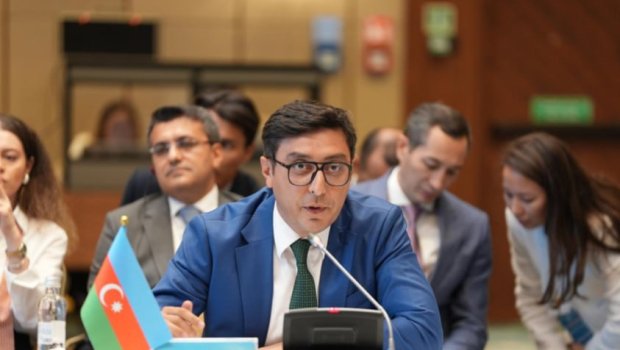 Fərid Qayıbov TDT-nin gənclər və idman nazirlərini Lənkərana dəvət etdi - FOTO