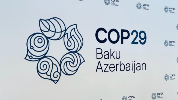 COP29-un ilk rəsmi tərəfdaşları AÇIQLANDI