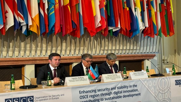 Yalçın Rəfiyev Praqada COP29-la bağlı tədbirdə iştirak etdi - FOTO