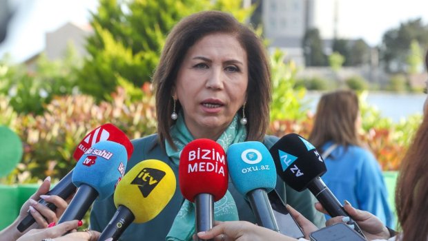 Bahar Muradova: &ldquo;Ailə münasibətlərindəki problemləri maarifləndirmə ilə aradan qaldırmaq mümkün deyil&rdquo;