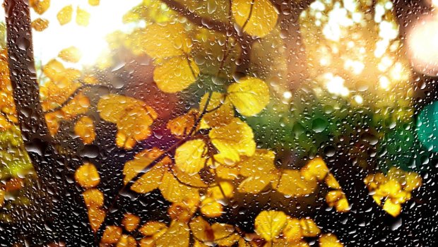 Hava kəskin dəyişir: Yağış yağacaq, şimşək çaxacaq &ndash; XƏBƏRDARLIQ 