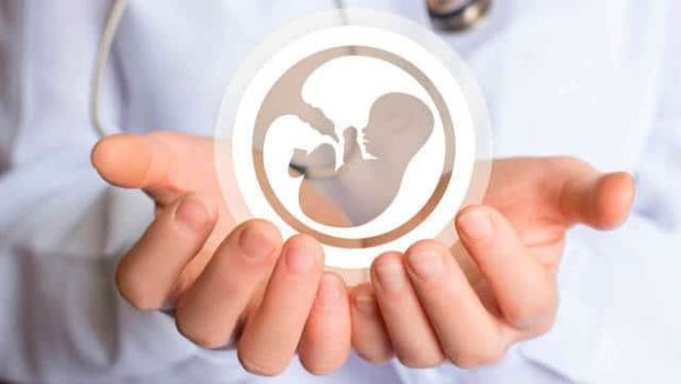 Süni mayalanmanın yaratdığı PROBLEM - Bioloji ata olmayanlar aliment ödəməlidir?