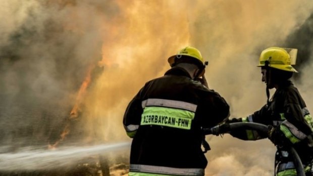 Bakıda ferma YANDI