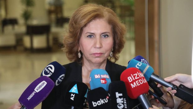Məişət zorakılığı ilə bağlı yeni fəaliyyət planı HAZIRLANACAQ &ndash; Bahar Muradova