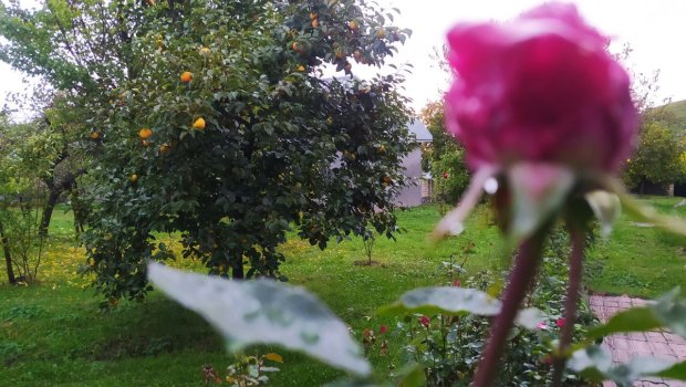 Bu rayonlarda temperatur 14 dərəcə endi &ndash; FOTO/VİDEO