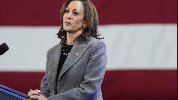 “Kamala Harris qalib gəlsə, X sosial şəbəkəsi öləcək” - “Megaupload” şəbəkəsinin yaradıcısı