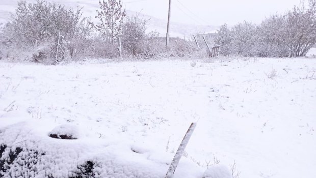 Ölkənin Şimal rayonlarına QAR YAĞIR - FOTO