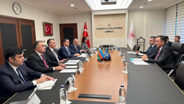 Ankarada TDT çərçivəsində əmək və məşğulluq üzrə işçi qrupunun yaradılması müzakirə edildi - FOTO