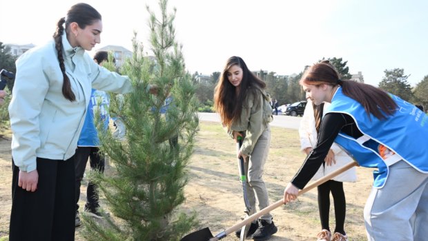 Leyla Əliyevanın iştirakı ilə Sabunçuda ağacəkmə aksiyası keçirildi - FOTO