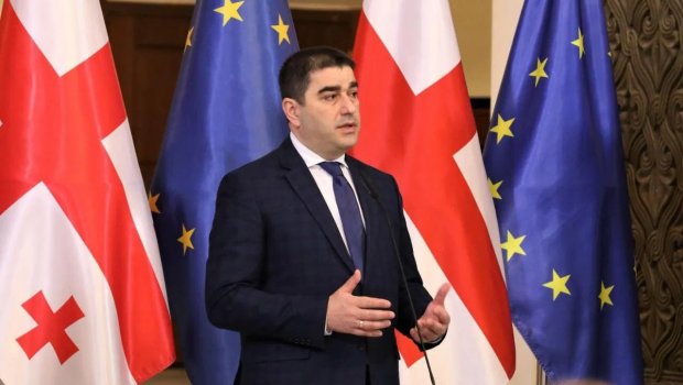 Gürcüstan parlamentinin sədrindən Aİ və ABŞ-ın tənqidlərinə REAKSİYA