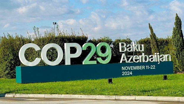Bu nazirlik COP29 çərçivəsində keçirəcəyi tədbirləri açıqladı