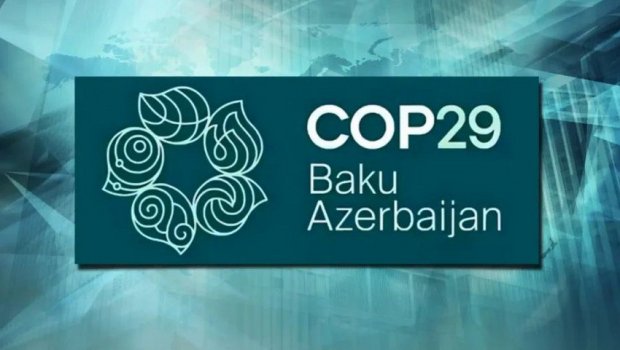 COP29-da Kaliforniya Universitetinin müəllim və tələbələri də iştirak edəcək