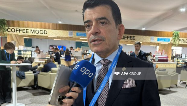 ISESCO-nun Baş direktoru: COP29-dan çox gözləntilərimiz var - VİDEO