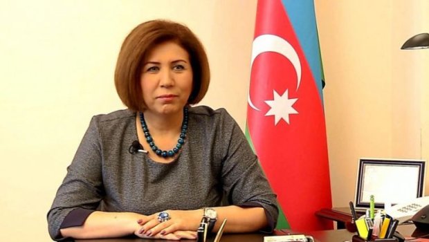 Bahar Muradova: &ldquo;Təbii fəlakətlər ölkələri tədbirlər görməyə vadar etməlidir&rdquo;