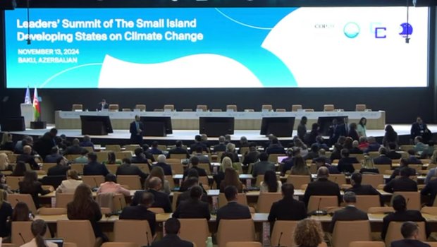 COP29-da inkişaf etməkdə olan kiçik ada dövlətlərinin Sammiti keçirildi - VİDEO