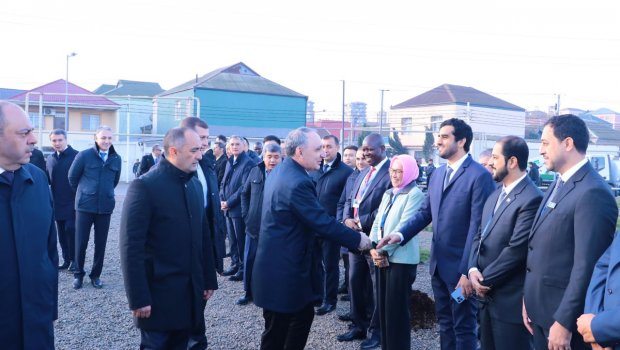 COP29 çərçivəsində 2500-ə yaxın ağac ƏKİLİB – FOTO
