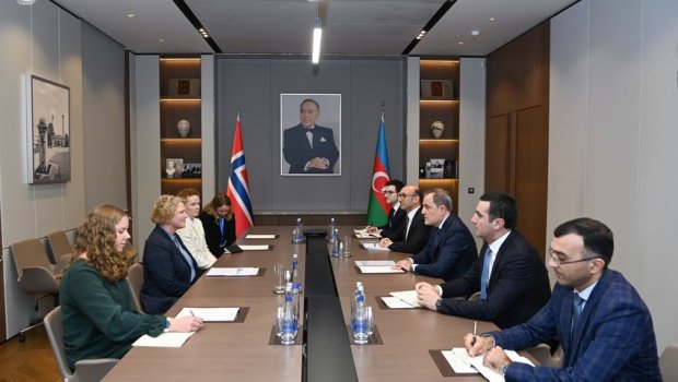 Ceyhun Bayramov norveçli naziri QƏBUL ETDİ - FOTO