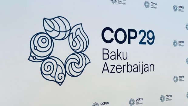 COP29-da qeydiyyatdan keçənlərin sayı AÇIQLANDI