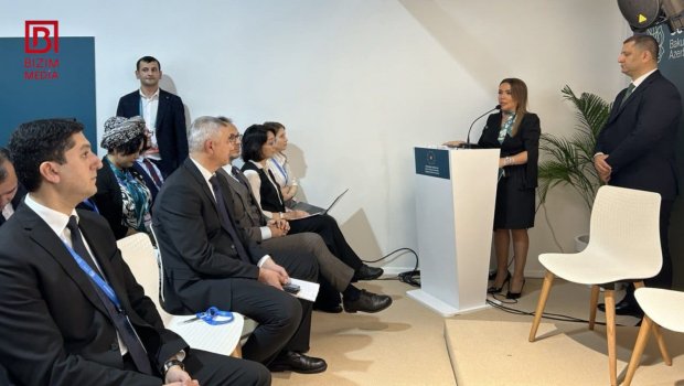 “İnsan kapitalının gücləndirilməsi ilə ekoloji təhdidlərlə birgə mübarizə aparmaq olar" - COP29 rəsmisi - FOTO