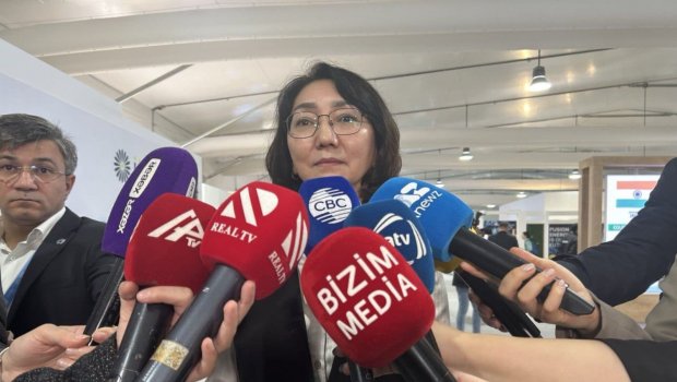 “Hamımız ekoloji baxımdan təhlükəsiz bir dünyada yaşamaq istəyirik” - Qazaxıstanlı komitə sədri