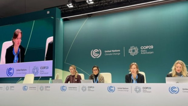 COP29 platformasında bir neçə mətbuat konfransı keçirildi - FOTO