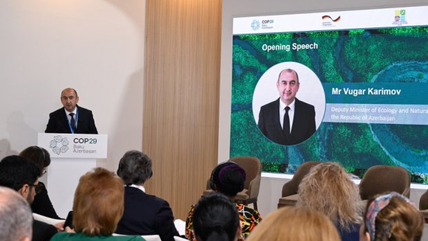 COP29-da iqlim dəyişikliyinin transsərhəd su resurslarına təsiri müzakirə edilib
