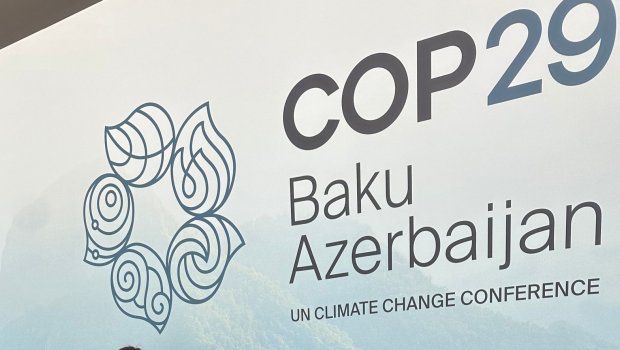 Xarici nümayəndələr COP29-da qəbul edilmiş qətnamələrə belə reaksiya VERDİLƏR - VİDEO