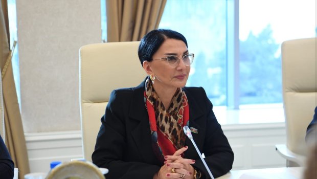 &ldquo;Örüş sahələri kimlərəsə icarəyə verilib, sakinlər əziyyət çəkirlər&rdquo; &ndash; Deputat