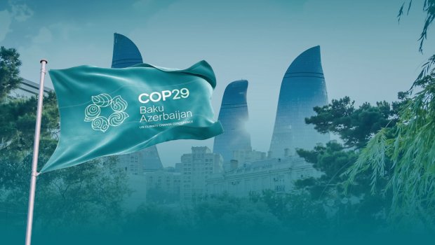 COP29 prezidenti: Razılaşdırılmış 300 milyard dollar qrupumuzun əzmkarlığı sayəsində əldə edildi - FOTO
