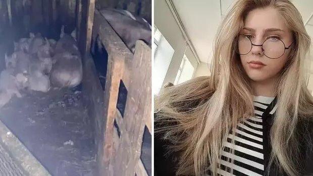 Rusiyada DƏHŞƏT &ndash; Donuzlar 17 yaşlı qızı PARÇALADI &ndash; FOTO/VİDEO