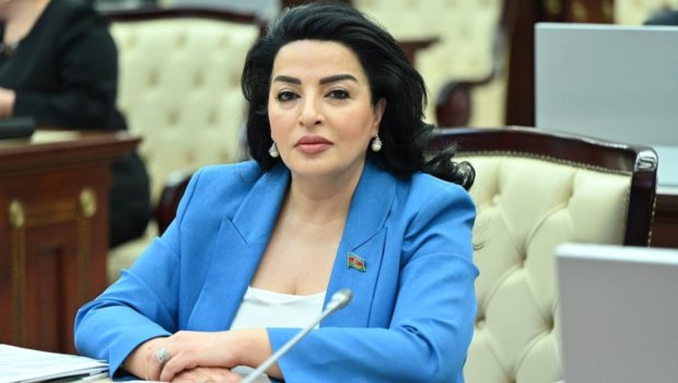 &ldquo;Aztəminatlı ailələrin yeni doğulan körpələrinə uşaq qidaları pulsuz verilsin&rdquo; &ndash; Deputatdan TƏKLİF