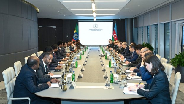 Azərbaycanla Efiopiyaarasında ticarət, investisiya və &ldquo;yaşıl enerji&rdquo; üzrə əməkdaşlıq müzakirə edildi - FOTO