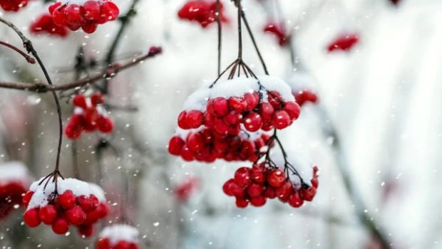 Günün HAVASI: 13 dərəcə şaxta&hellip;