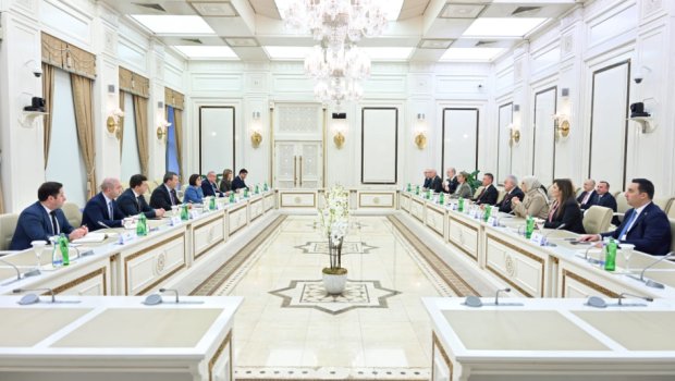 TBMM-in nümayəndə heyəti Milli Məclisdə - FOTO