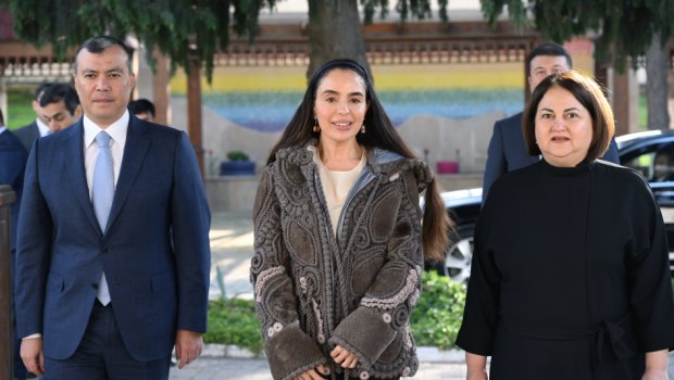 Leyla Əliyeva əlilliyi olan şəxslər üçün sosial xidmət müəssisələrini ziyarət etdi - FOTO