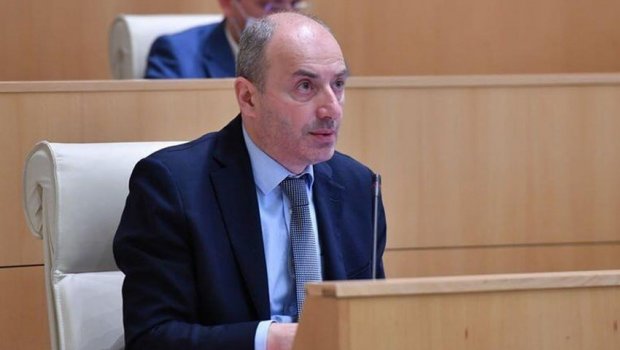 Gürcü deputat: “Gürcüstandan fərqli olaraq Fransada aksiyalar itlərlə dağıdılır"
