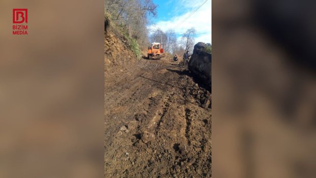 Lerikdə qaya parçası səbəbindən bağlanmış yol istifadəyə VERİLİB &ndash; FOTO