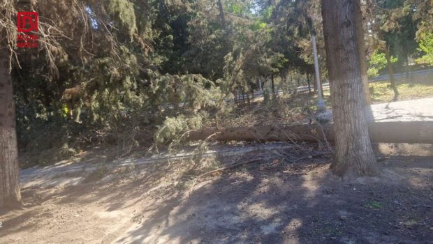 Güclü küləyin Mingəçevirdə törətdiyi FƏSADLAR &ndash; FOTO/VİDEO
