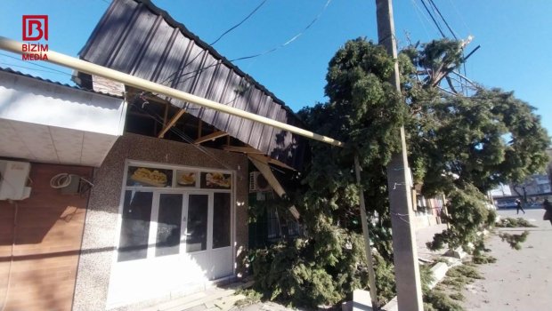 Göyçayda güclü küləyin törətdiyi fəsadlar &ndash; FOTO/VİDEO